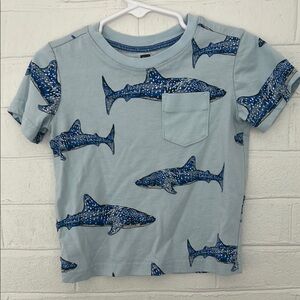 SEA Boys Shark T-Shirt, size 2T
